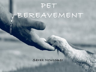 PET
BEREAVEMENT
Sarah Newcomer
 
