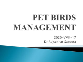 2020-VMK-17
Dr Rajsekhar Sapcota
 