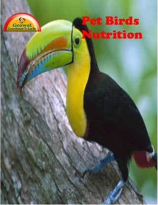 Pet Birds
Nutrition
 