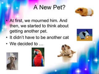 A New Pet?
• At first, we mourned him. And
then, we started to think about
getting another pet.
• It didn’t have to be ano...