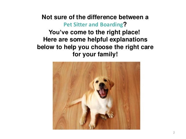 Pet Care Definitions