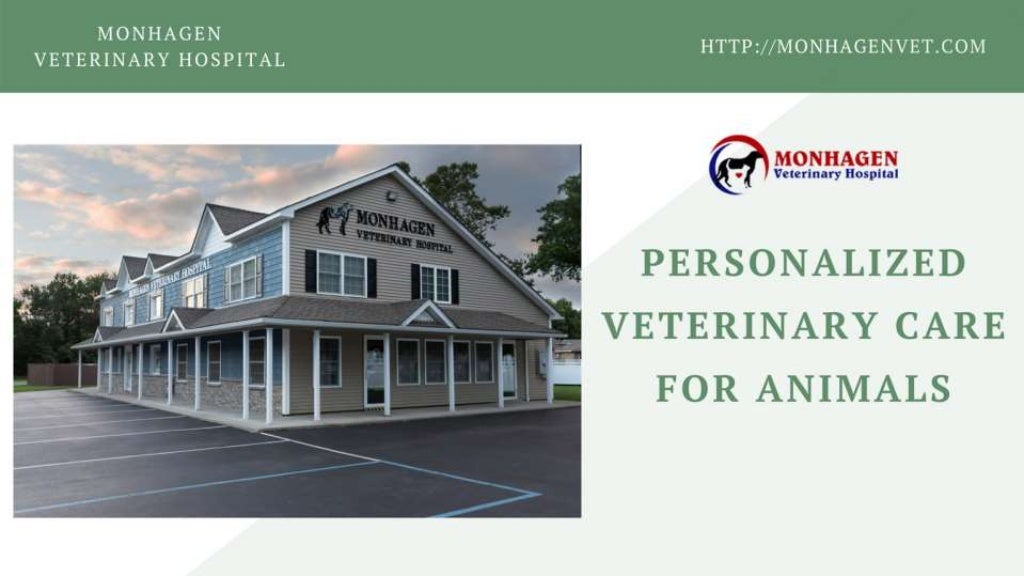 Affordable Pet Care Monhagen Animal Hospital Middletown