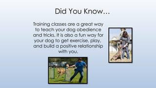 Did You Know…
Training classes are a great way
to teach your dog obedience
and tricks. It is also a fun way for
your dog to get exercise, play,
and build a positive relationship
with you.
 