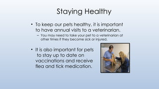 Staying Healthy
• To keep our pets healthy, it is important
to have annual visits to a veterinarian.
– You may need to take your pet to a veterinarian at
other times if they become sick or injured.
• It is also important for pets
to stay up to date on
vaccinations and receive
flea and tick medication.
 