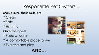Responsible Pet Owners…
Make sure their pets are:
Clean
Safe
Healthy
Give their pets:
Food & water
A comfortable place to live
Exercise and play
AND…
 
