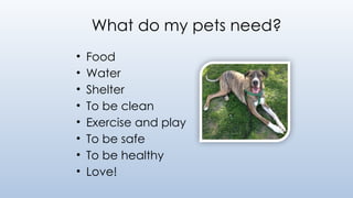 What do my pets need?
• Food
• Water
• Shelter
• To be clean
• Exercise and play
• To be safe
• To be healthy
• Love!
 