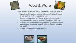 Food & Water
Pets need special food created just for them:
• Rabbits, guinea pigs, rats and other small animals need
to eat pellets, fresh veggies and hay.
• Dogs and cats need dry kibble or wet canned food.
• Birds need seeds specific to their breed and fresh fruits.
• Reptiles such as bearded dragons and iguanas eat fruits
and veggies, but other reptiles, such as snakes need to
eat meat.
• All pets need fresh water everyday.
 