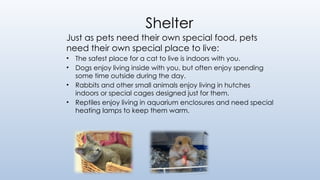 Shelter
Just as pets need their own special food, pets
need their own special place to live:
• The safest place for a cat to live is indoors with you.
• Dogs enjoy living inside with you, but often enjoy spending
some time outside during the day.
• Rabbits and other small animals enjoy living in hutches
indoors or special cages designed just for them.
• Reptiles enjoy living in aquarium enclosures and need special
heating lamps to keep them warm.
 