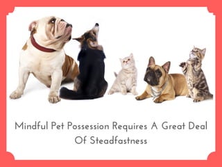 Mindful Pet Possession Requires A Great Deal
Of Steadfastness
 