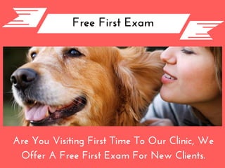 Free First Exam
Are You Visiting First Time To Our Clinic, We
Offer A Free First Exam For New Clients.
 
