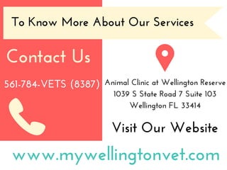To Know More About Our Services
Contact Us
561-784-VETS (8387)
Visit Our Website
www.mywellingtonvet.com
Animal Clinic at ...