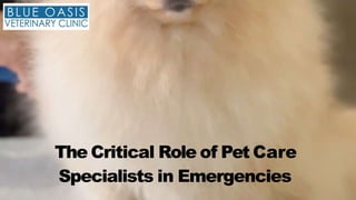 The Critical Role of Pet Care
Specialists in Emergencies
 