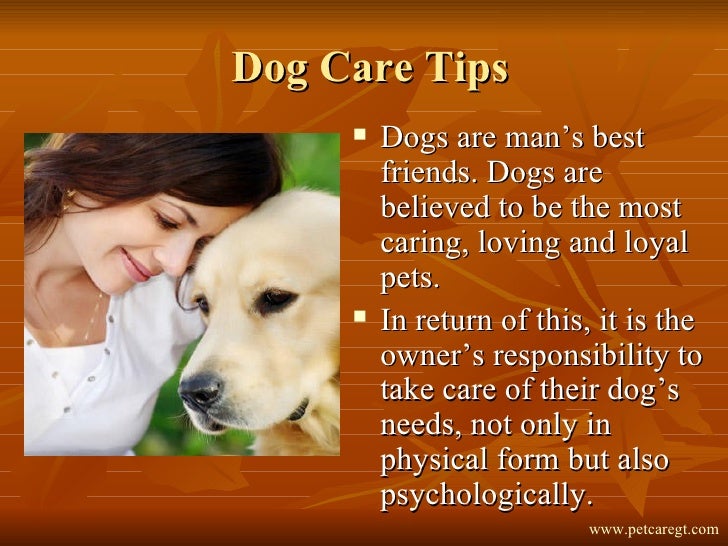Pet care tips