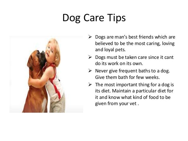 Pet care tips