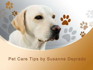 Pet Care Tips by Susanne Deprado
