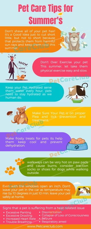 Pet Care Tips for
Summer's
Don't shave all of your pet hair!
It's a Good Idea just to cut short
little, but not to short because
that protects them from harmful
sun rays and keep them cool this
summer.
Don't Over Exercise your pet
This summer, let take them
physical exercise easy and slow.
Keep your Pet Hydrated serve
them water every hour, pets
need to stay hydrated as we
human do.
Make Sure Your Pet is on proper
Flea and tick prevention and
treatment.
Make frosty treats for pets its help
them keep cool and prevent
dehydration.
walkways can be very hot on paw pads
and cause burns. consider traction
socks or shoes for dogs while walking
outside.
Even with the windows open an inch, Don't
leave your pet in the car as temperature may
rise by 10 degrees in just 10 min, leave your pet
safely at home.
Excessive Panting
Excessive Drooling
Increased Heart Rate
Trouble Breathing
Disorientation
Collapse of Loss of Consciousness
Seizure
Respiratory arrest
Signs that a pet is suffering from a heat-related issue
www.Petcareclub.com
 