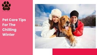 1
Pages Of 30
Pet Care Tips
For The
Chilling
Winter
 