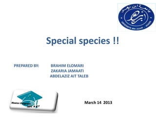 Special species !!

PREPARED BY:   BRAHIM ELOMARI
               ZAKARIA JAMAATI
               ABDELAZIZ AIT TALEB




                                March 14 2013
 