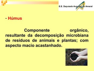 - Húmus
Componente orgânico,
resultante da decomposição microbiana
de resíduos de animais e plantas; com
aspecto macio acastanhado.
 