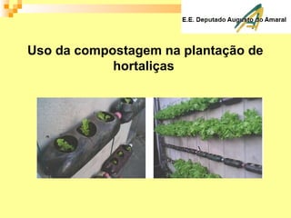 Uso da compostagem na plantação de
hortaliças
 