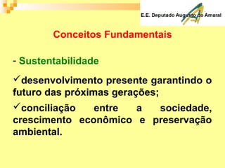 Conceitos Fundamentais
- Sustentabilidade
desenvolvimento presente garantindo o
futuro das próximas gerações;
conciliação entre a sociedade,
crescimento econômico e preservação
ambiental.
 