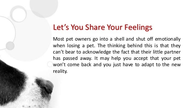 pet cremation packages