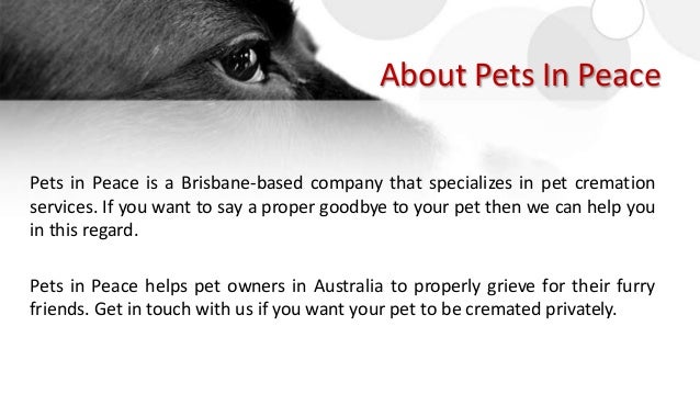 pets at peace cremation