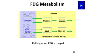 FDG Metabolism
FDG FDG -6-P
Radio-
active
Glucose
18F-FDG
Radioactive Glucose 18F-FDG
X
Glucose Glucose
Glucose
Glucose-6-...