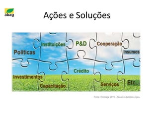 Ações e Soluções
Fonte: Embrapa 2015 – Mauricio AntonioLopes.
 