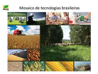 Mosaico de tecnologias brasileiras
 