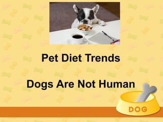 Pet Diet Trends
Dogs Are Not Human
 