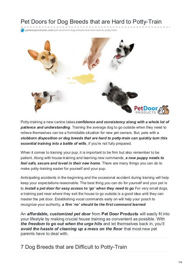 how to get puppy to go to door to potty