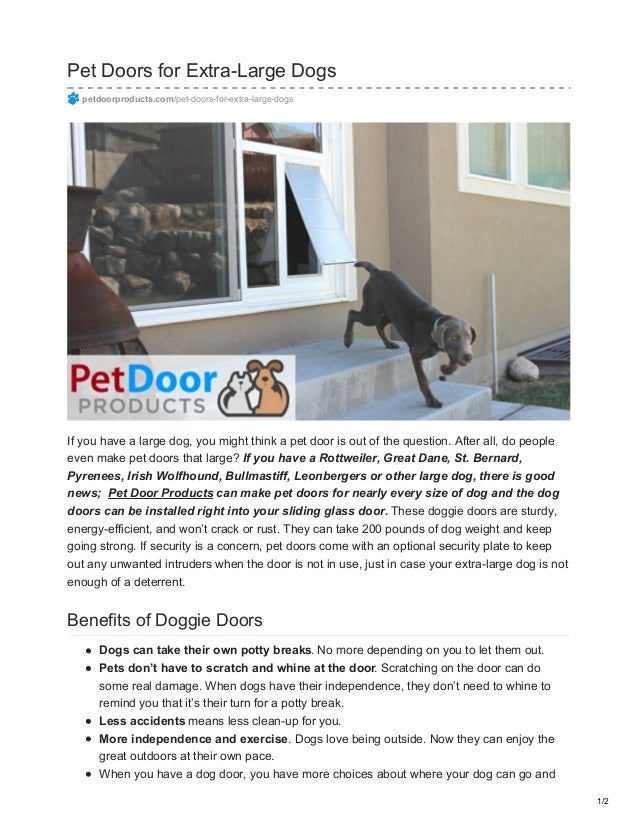 Pet Doors For Extra Large Dogs