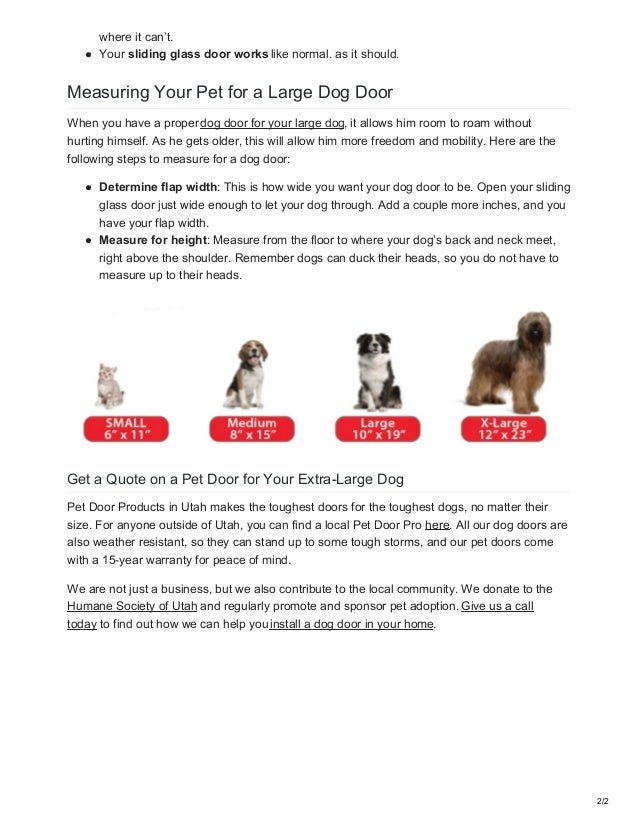 Pet Doors For Extra Large Dogs