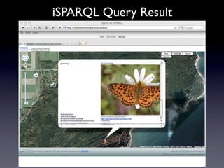iSPARQL Query Result
 