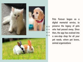 Pet education and training services