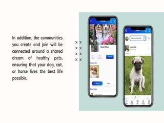 Pet education and training services