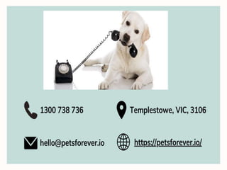 Pet education and training services