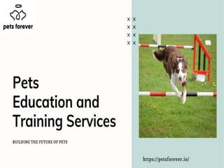 Pet education and training services