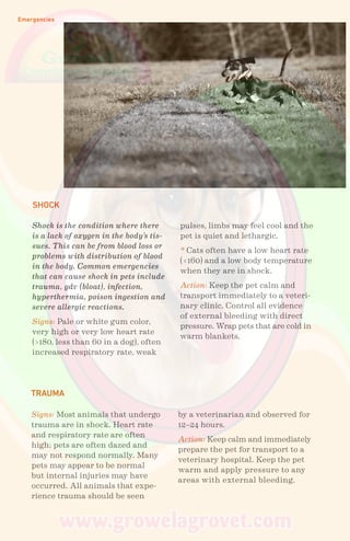 Emergencies
SHOCK
TRAUMA
Shock is the condition where there
is a lack of oxygen in the body’s tis-
sues. This can be from blood loss or
problems with distribution of blood
in the body. Common emergencies
that can cause shock in pets include
trauma, gdv (bloat), infection,
hyperthermia, poison ingestion and
severe allergic reactions.
Signs: Pale or white gum color,
very high or very low heart rate
(>180, less than 60 in a dog), often
increased respiratory rate, weak
Signs: Most animals that undergo
trauma are in shock. Heart rate
and respiratory rate are often
high; pets are often dazed and
may not respond normally. Many
pets may appear to be normal
but internal injuries may have
occurred. All animals that expe-
rience trauma should be seen
pulses, limbs may feel cool and the
pet is quiet and lethargic.
* Cats often have a low heart rate
(<160) and a low body temperature
when they are in shock.
Action: Keep the pet calm and
transport immediately to a veteri-
nary clinic. Control all evidence
of external bleeding with direct
pressure. Wrap pets that are cold in
warm blankets.
by a veterinarian and observed for
12–24 hours.
Action: Keep calm and immediately
prepare the pet for transport to a
veterinary hospital. Keep the pet
warm and apply pressure to any
areas with external bleeding.
 