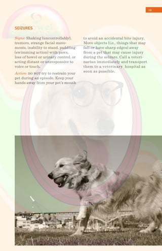 14
SEIZURES
Signs: Shaking (uncontrollably),
tremors, strange facial move-
ments, inability to stand, paddling
(swimming action) with paws,
loss of bowel or urinary control, or
acting distant or unresponsive to
voice or touch.
Action: do not try to restrain your
pet during an episode. Keep your
hands away from your pet’s mouth
to avoid an accidental bite injury.
Move objects (i.e., things that may
fall or have sharp edges) away
from a pet that may cause injury
during the seizure. Call a veteri-
narian immediately and transport
them to a veterinary hospital as
soon as possible.
 