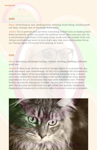 Emergencies
EARS
EYES
Signs: Scratching at ears, shaking head, whining, head tilting, swollen/puffy
ear flaps, strange odor or discharge from ear(s).
Action: Try to prevent your pet from scratching at their ears or shaking their
head excessively as this can make the problem worse. Have your pet seen by
a veterinarian to perform a full exam of the inside and the outside of the ear.
Always avoid getting water in your dog’s ears. Ask your veterinarian for an
ear ‘drying’ agent if your pet loves playing in water.
Signs: Squinting, discharge/tearing, redness, swelling, bleeding, different
pupil size.
Action: If there is an obvious wound or foreign object in or around the eye,
seek veterinary care immediately. do not try to bandage the laceration or
remove the object. If the source of the irritation is known to be a chemi-
cal or fine debris/dirt, flush the eye(s) with sterile saline (or clean water)
immediately for 5 to 10 minutes and then seek veterinary care. Prevent
further trauma by placing an “e-collar” on your pet if there is one avail-
able. Eye injuries and infections can get worse very quickly. immediate
diagnosis and treatment is critical in order to preserve your pet’s eyesight.
 