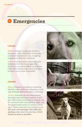 Emergencies
Emergencies03
CARDIAC
URINARY
Signs: Collapse, weakness, bluish or
gray gum color, rapid/slow heart rate,
increased respiratory rate, coughing,
respiratory distress, vomiting.
Action: Call and seek veterinary care
immediately. Such emergencies
should not be taken lightly as they are
often life threatening. Limit your pet’s
activity; carry them if possible.
Signs: Frequent urination or straining,
blood in urine, difficulty urinating, vomit-
ing, lethargy, abdominal pain, vocalizing.
Action: Animals can develop urinary
blockage and infections similar to peo-
ple. Often times straining to urinate can
be confused with constipation. Male cats
are particularly prone to urinary block-
ages. These cases are true emergencies.
All male cats and dogs with difficulty
passing urine must be seen by a veteri-
narian as soon as possible.
 