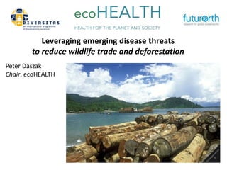 Leveraging emerging disease threats 
to reduce wildlife trade and deforestation 
Peter Daszak 
Chair, ecoHEALTH 
 