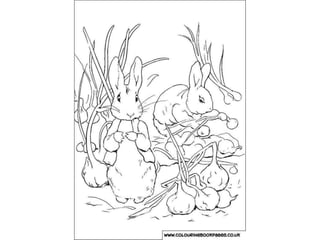 81 Collections Coloring Pages Peter Rabbit  Free