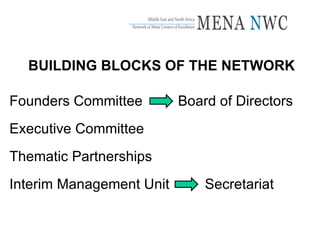BUILDING BLOCKS OF THE NETWORK Founders Committee  Board of Directors Executive Committee Thematic Partnerships Interim Management Unit  Secretariat 