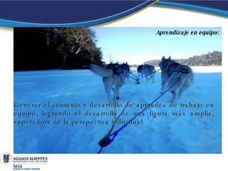Generar el contexto y desarrollo de aptitudes de trabajo en equipo, logrando el desarrollo de una figura más amplia, superadora de la perspectiva individual.  Aprendizaje en equipo: 