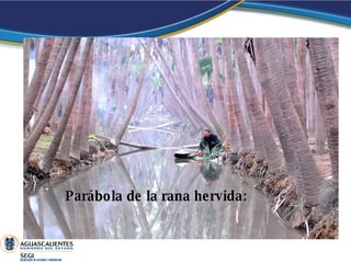 Parábola de la rana hervida: 