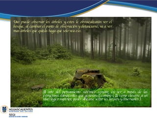 Uno puede observar los árboles y estos le obstaculizarán ver el bosque, al cambiar el punto de observación y distanciarse, va a ver mas árboles que quizás haga que solo vea eso.  El arte del pensamiento sistémico consiste en ver a través de las estructuras subyacentes que generan el cambio ( Es como elevarse a un nivel lógico superior, poder ubicarse sobre los hechos y observarlos ). 