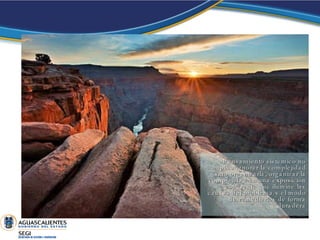 Pensamiento sistémico no implica ignorar la complejidad sino organizarla, organizar la complejidad en una exposición coherente que ilumine las causas del problema y el modo de remediarlos de forma duradera 